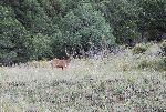 26_2008-0831-1521-19A.jpg